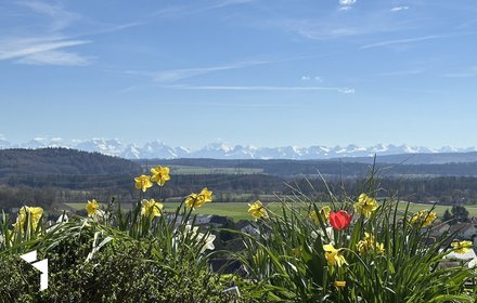 5.5-Zi.-Terrassenhaus mit herrlicher Aussicht