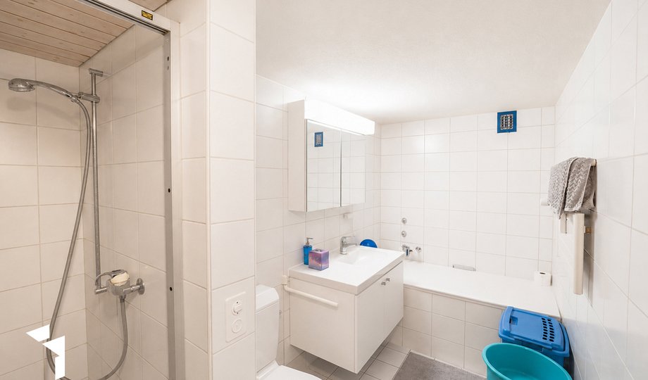 9189_WHG_EG_Ch_de_la_Maison_Blanche_17_2533_Evilard_10